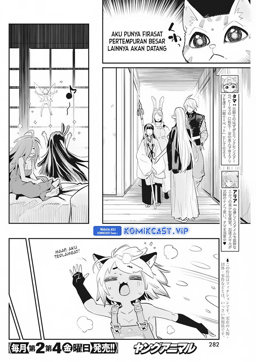 S-Rank Monster no Behemoth Dakedo, Neko to Machigawarete Erufu Musume no Kishi (Pet) Toshite Kurashitemasu Chapter 61 Gambar 3